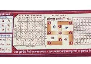 Yogini Yantra / 64 Yogini Yantra