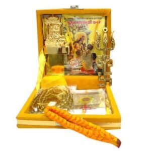 Shri Baglamukhi Yantra Box kit for Puja Worship - shop