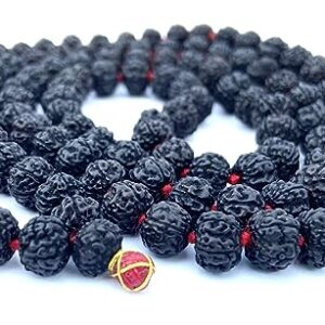 Original Rudraksha Panchmukhi Mala (Black, 9-10mm) for Wearing and Japa Mala (5 Mukhi Mala, 108 Beads Mala Rosary Garland) (Black)