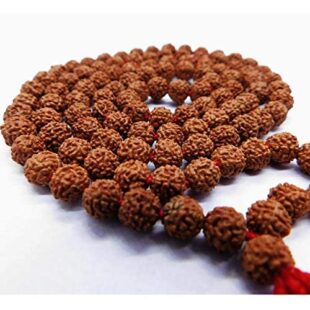 Haridwar Divine 108 Beads Rudraksha Natural Seed Prayer Beads Rudraksha 108 Mala Powerful Rudraksha Mala for Positive Vibes, Meditation, Mantra Japa Mala, Shiv Blessings