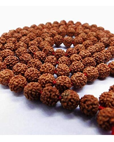 Haridwar Divine 108 Beads Rudraksha Natural Seed Prayer Beads Rudraksha 108 Mala Powerful Rudraksha Mala for Positive Vibes, Meditation, Mantra Japa Mala, Shiv Blessings