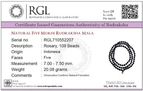 Lab Certified Rudraksha Mala 108+1 Beads (7mm Diameter 35cm Length) Full Matured Beads