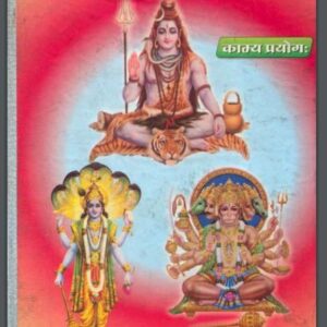 तंत्रोक्त देव पूजा रहस्य : रमेश चन्द्र शर्मा द्वारा हिंदी पीडीऍफ़ पुस्तक - तंत्र-मंत्र | Tantrokt Dev Pooja Rahasya : by Ramesh Chandra Sharma Hindi...