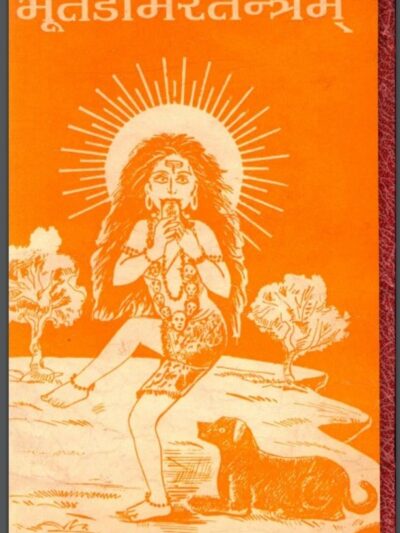 भूतडामरतन्त्रम pdf book डॉ. ब्रह्मानन्द त्रिपाठी द्वारा हिंदी पीडीऍफ पुस्तक - तंत्र मन्त्र | Bhoot Damar Tantra : by Dr. Brahmanand Tripathi Hindi PDF...