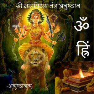 श्री महाविद्या तंत्र अनुष्ठान (Shree mahavidhya tantra anushthan) – shop