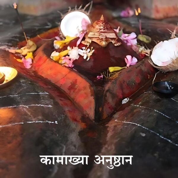 कामाख्या अनुष्ठान (Kamakhya anushthan) – shop