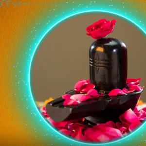 Rudrabhishek Yagya