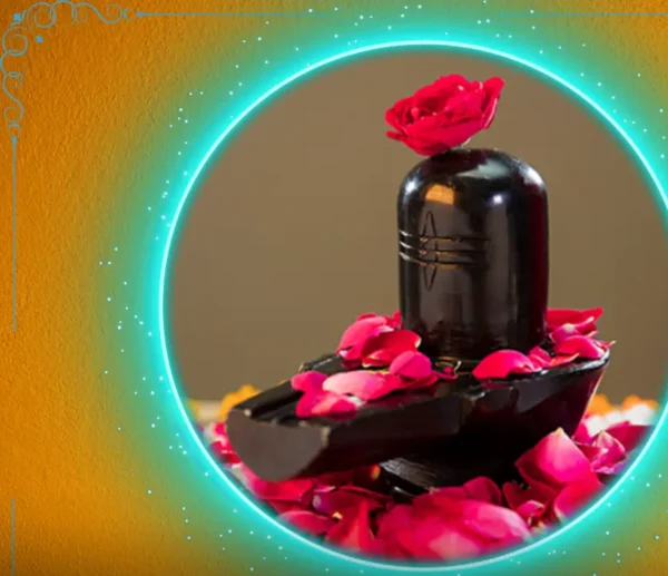 Rudrabhishek Yagya