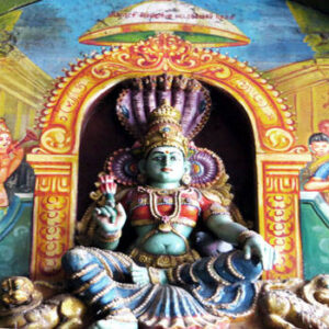 Meenakshi Devi Anushthan, Meenakshi Devi, Meenakshi devi Anushthan for 5 Days