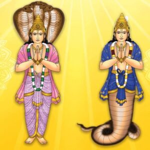 राहु अनुष्ठान (Rahu anushthan) ph.85280 57364