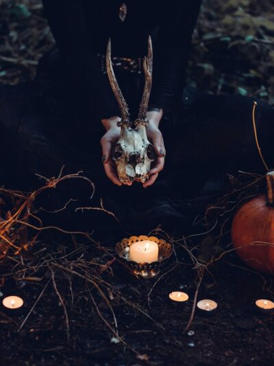 person holding cattle skull surrounded by squash and candles